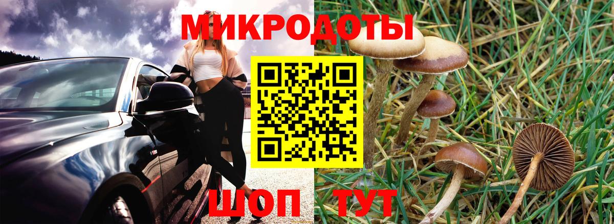 Галлюциногенные грибы ЛСД  Вход с VPN  купить  цена  Кингисепп 